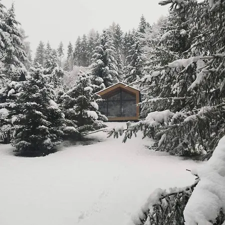 Apartment Fenyovoelgy Luxus Pihenohaz *****
